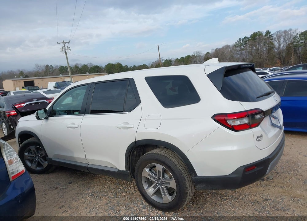 2025 HONDA PILOT EX-L VIN: 5FNYG2H46SB047300