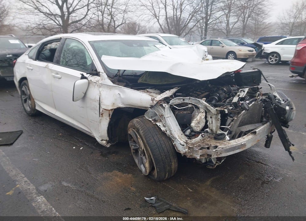 2019 HONDA ACCORD EX-L VIN: 1HGCV1F51KA057393