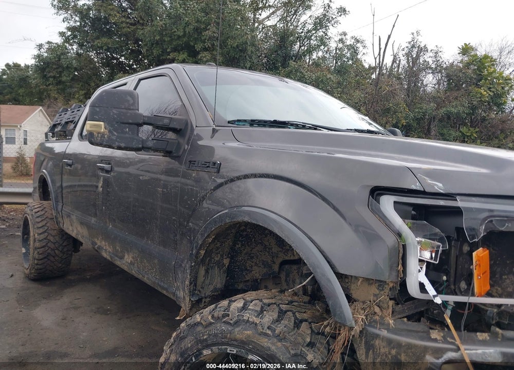 2016 FORD F-150 XLT VIN: 1FTEW1EF8GKD87662