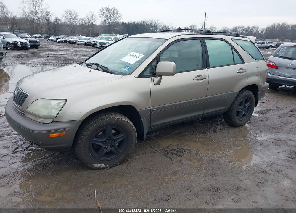 2002 LEXUS RX 300 VIN: JTJHF10U620264494