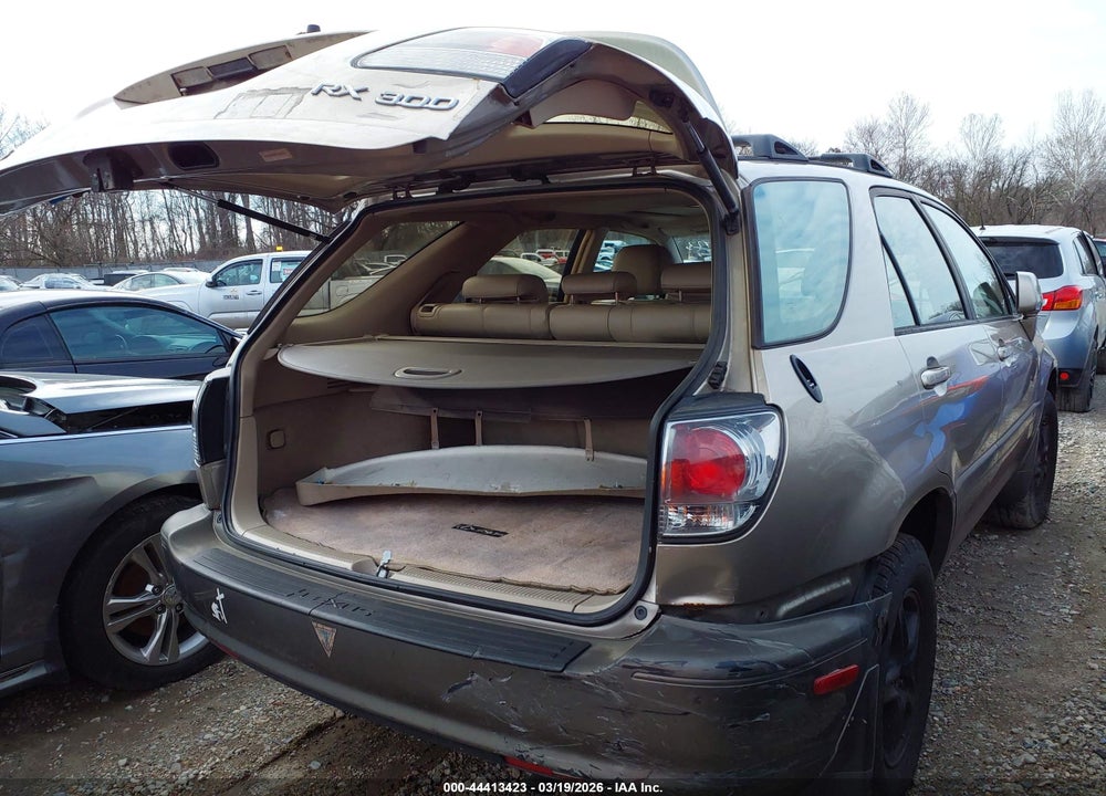 2002 LEXUS RX 300 VIN: JTJHF10U620264494