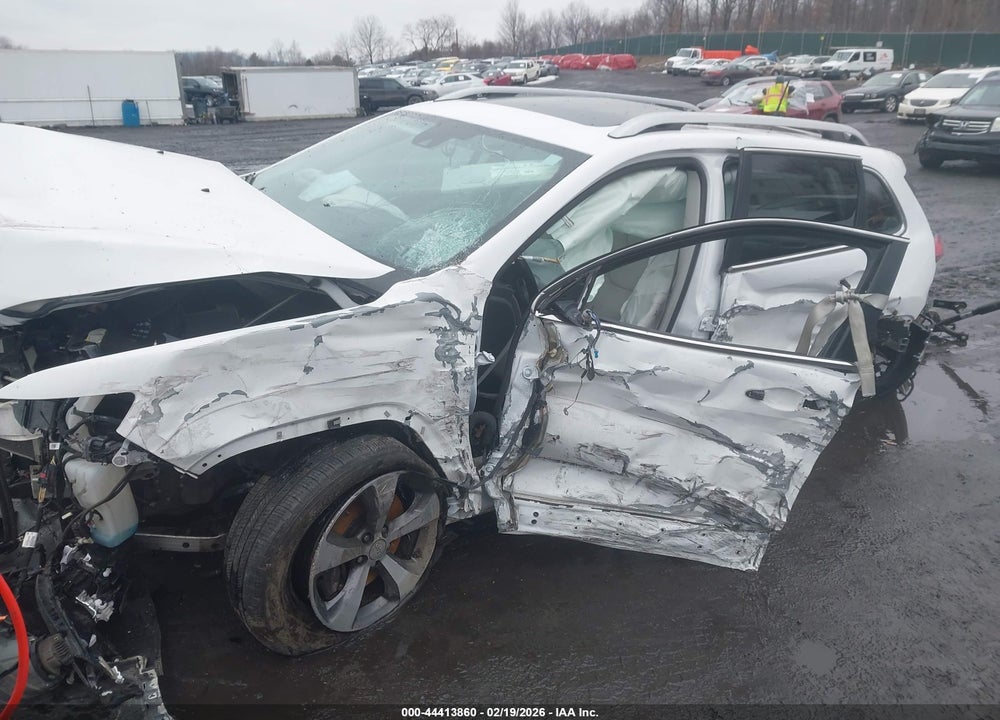 2019 JEEP CHEROKEE LIMITED VIN: 1C4PJMDX1KD140273