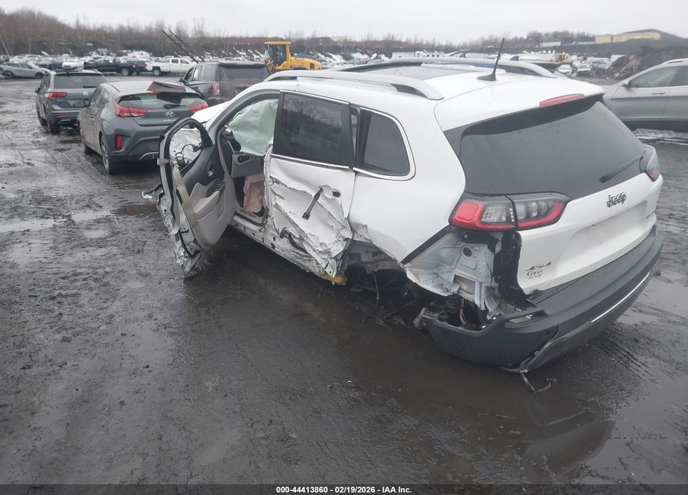 2019 JEEP CHEROKEE LIMITED VIN: 1C4PJMDX1KD140273