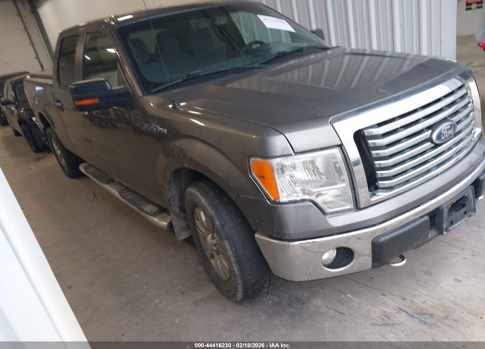 2011 FORD F-150 XLT VIN: 1FTFW1EF0BFD41667