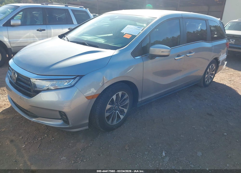 2021 HONDA ODYSSEY EXL VIN: 5FNRL6H72MB005808