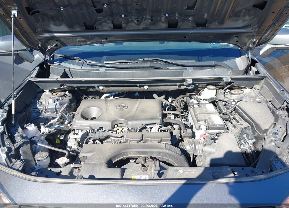 2019 TOYOTA RAV4 LE VIN: 2T3G1RFV0KW083687
