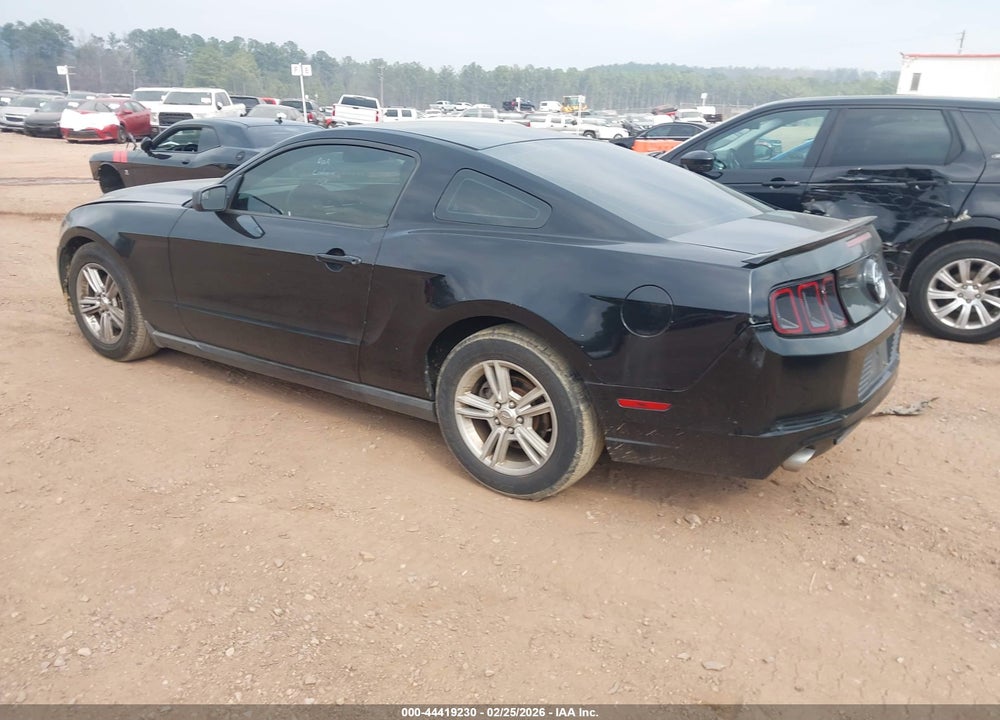 2013 FORD MUSTANG V6 VIN: 1ZVBP8AM3D5259141