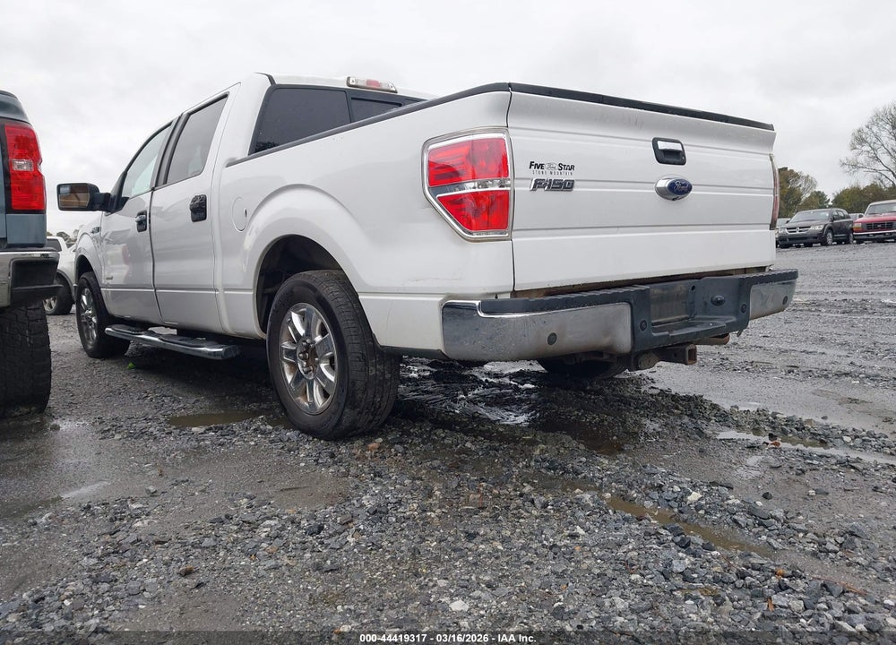 2014 FORD F-150 XLT VIN: 1FTFW1CT2EFA23465