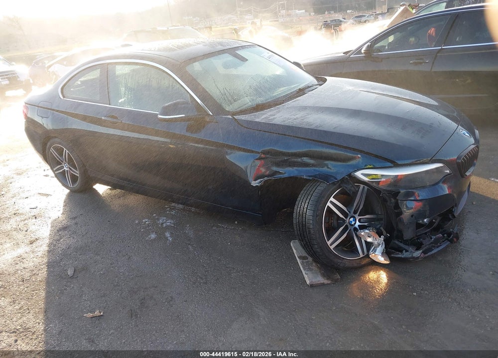 2017 BMW 230I VIN: WBA2F9C54HV664171