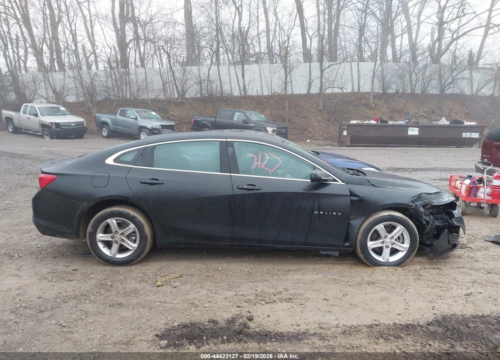 2024 CHEVROLET MALIBU FWD 1LT VIN: 1G1ZD5ST7RF233053