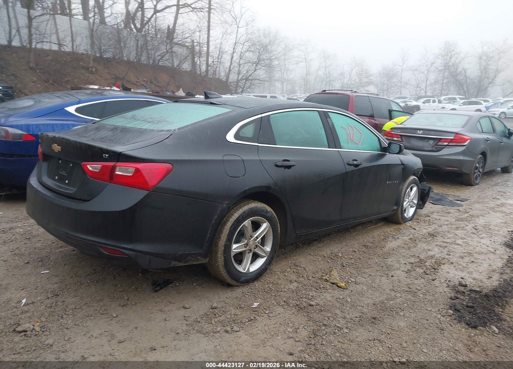 2024 CHEVROLET MALIBU FWD 1LT VIN: 1G1ZD5ST7RF233053