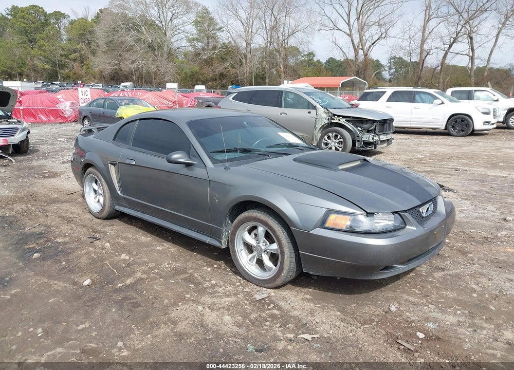 2003 FORD MUSTANG VIN: 1FAFP40473F389095