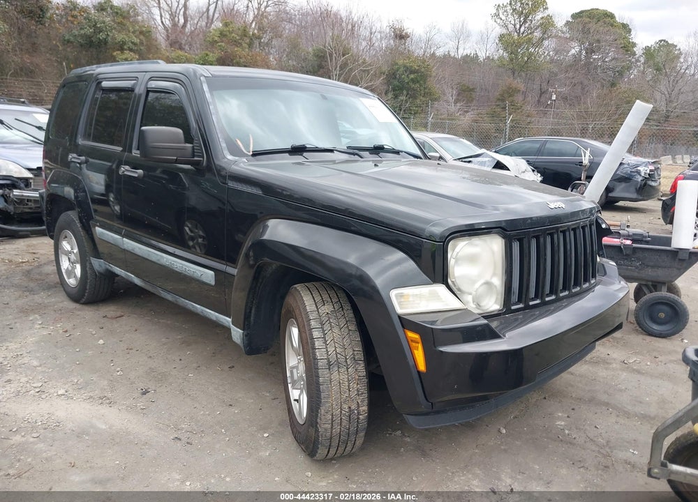 2010 JEEP LIBERTY SP VIN: 1J4PN2GKXAW132047