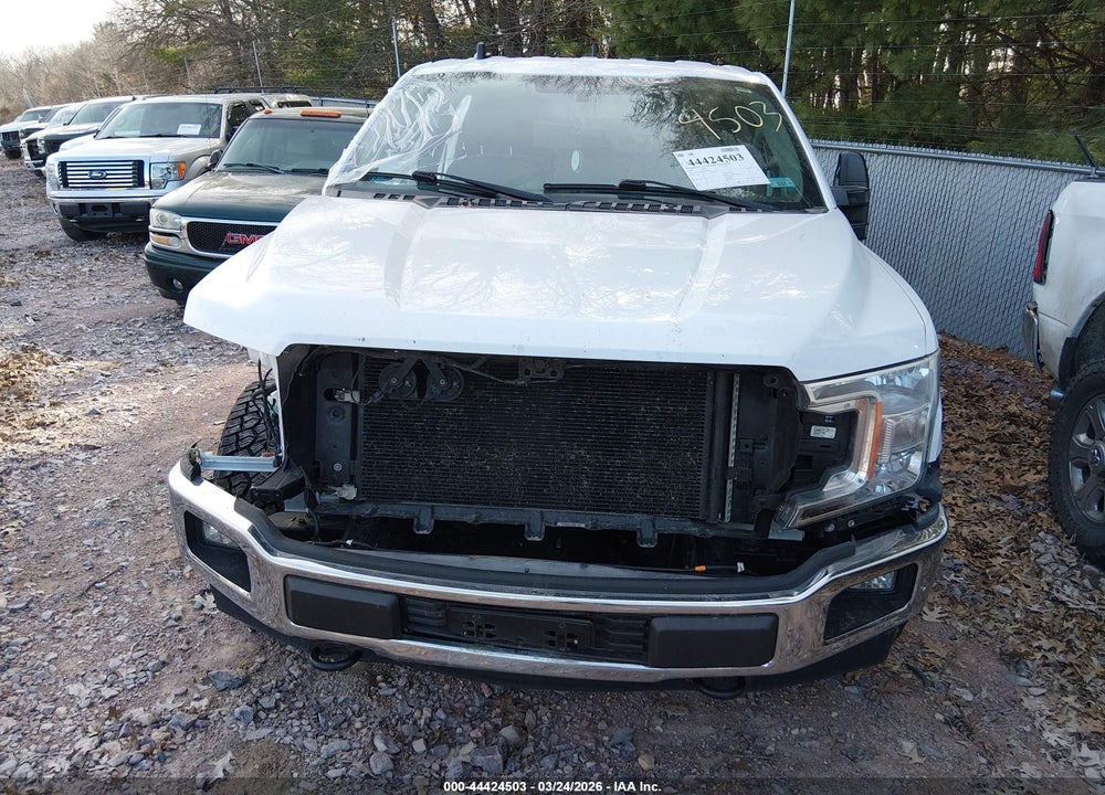 2019 FORD F-150 XLT VIN: 1FTFW1E5XKKE84916