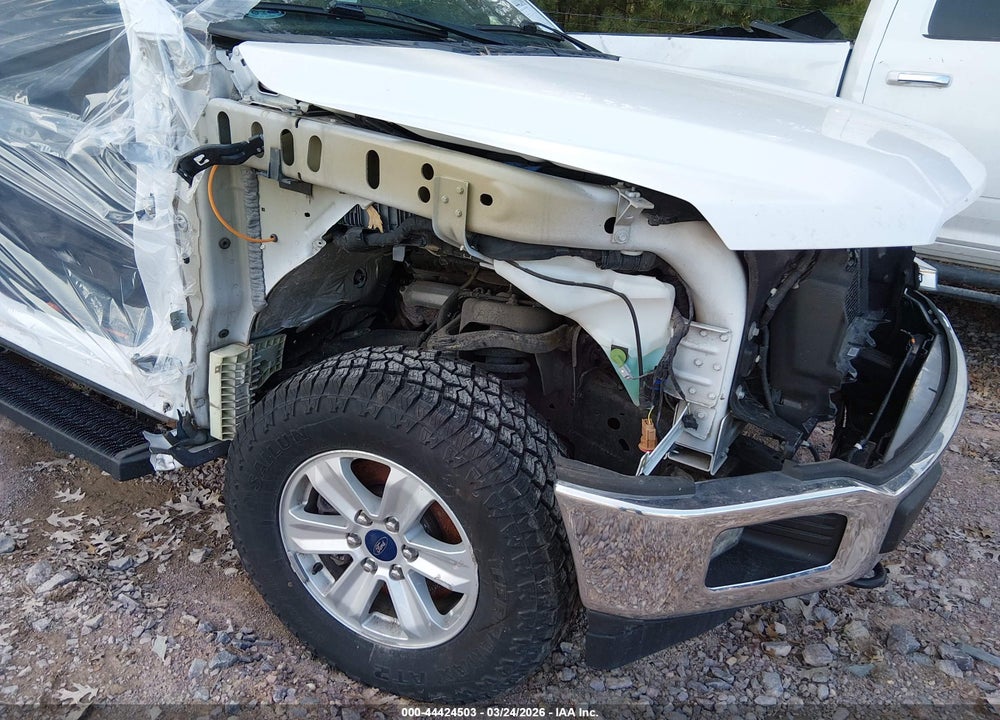 2019 FORD F-150 XLT VIN: 1FTFW1E5XKKE84916