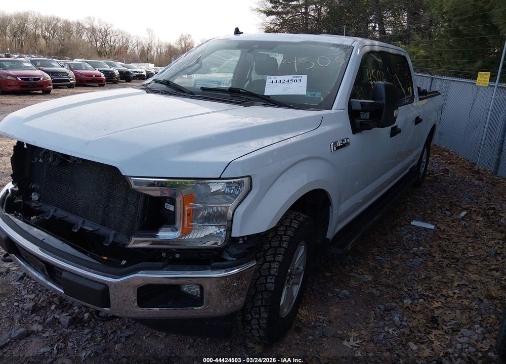 2019 FORD F-150 XLT VIN: 1FTFW1E5XKKE84916