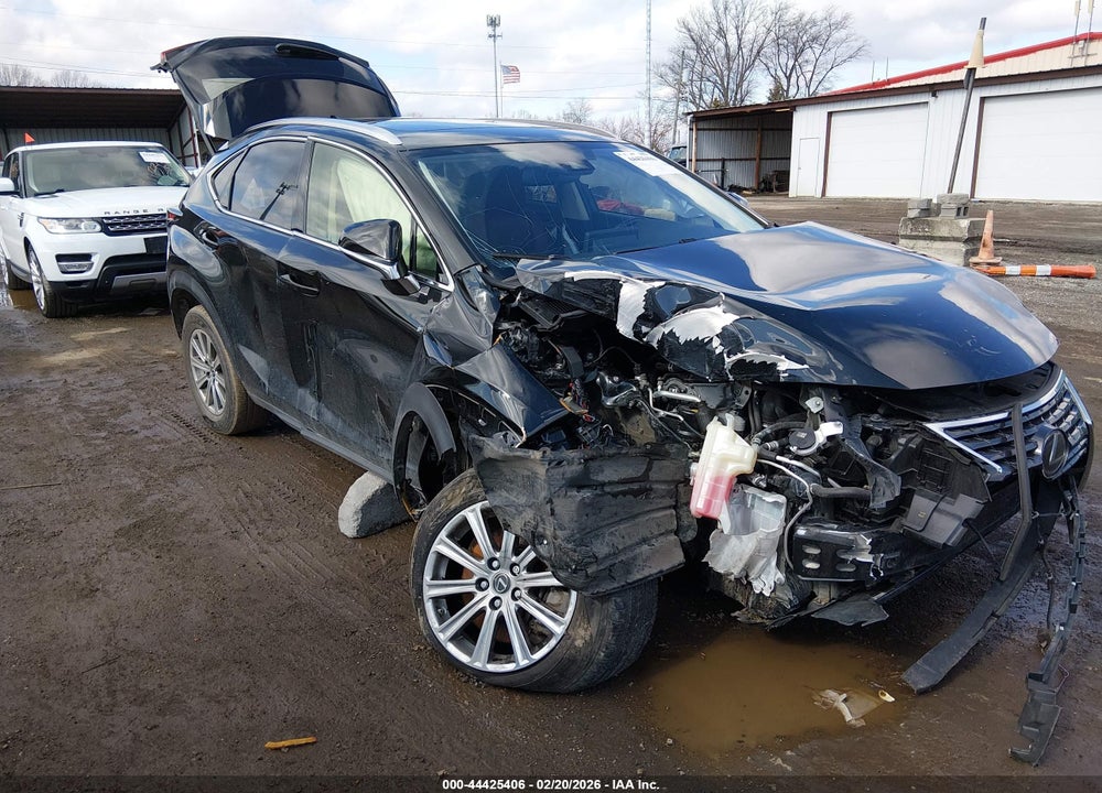 2020 LEXUS NX 300 VIN: JTJDARDZ3L5010585