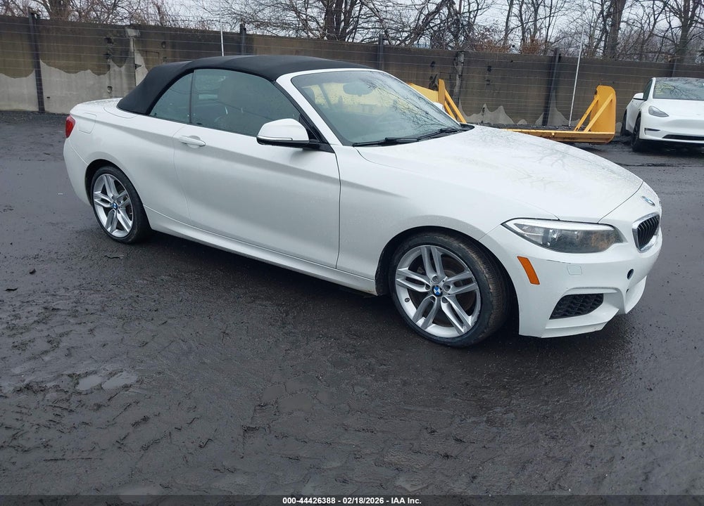 2016 BMW 228I VIN: WBA1L9C51GV325791