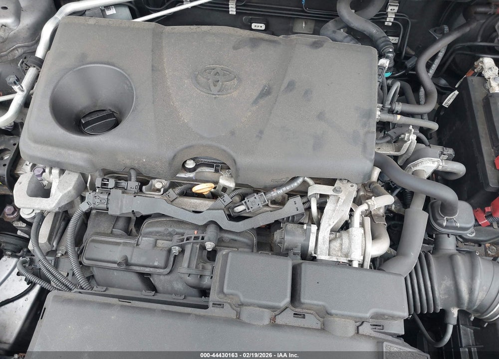 2019 TOYOTA RAV4 XLE PREMIUM VIN: 2T3C1RFV6KW031656