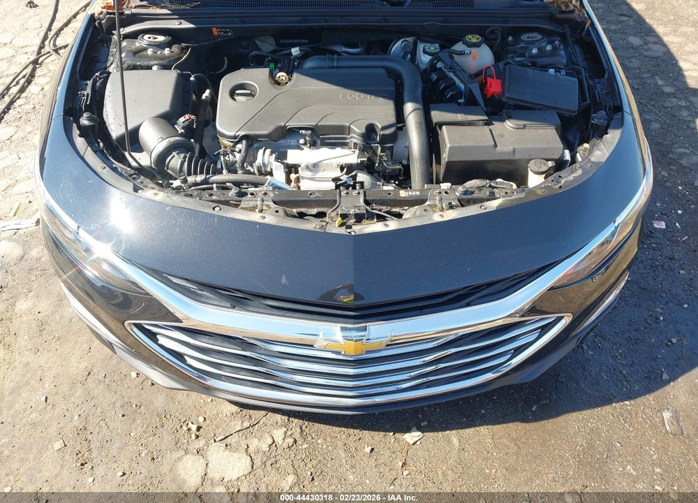 2019 CHEVROLET MALIBU 1FL VIN: 1G1ZC5ST3KF207803