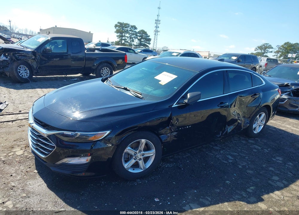 2019 CHEVROLET MALIBU 1FL VIN: 1G1ZC5ST3KF207803