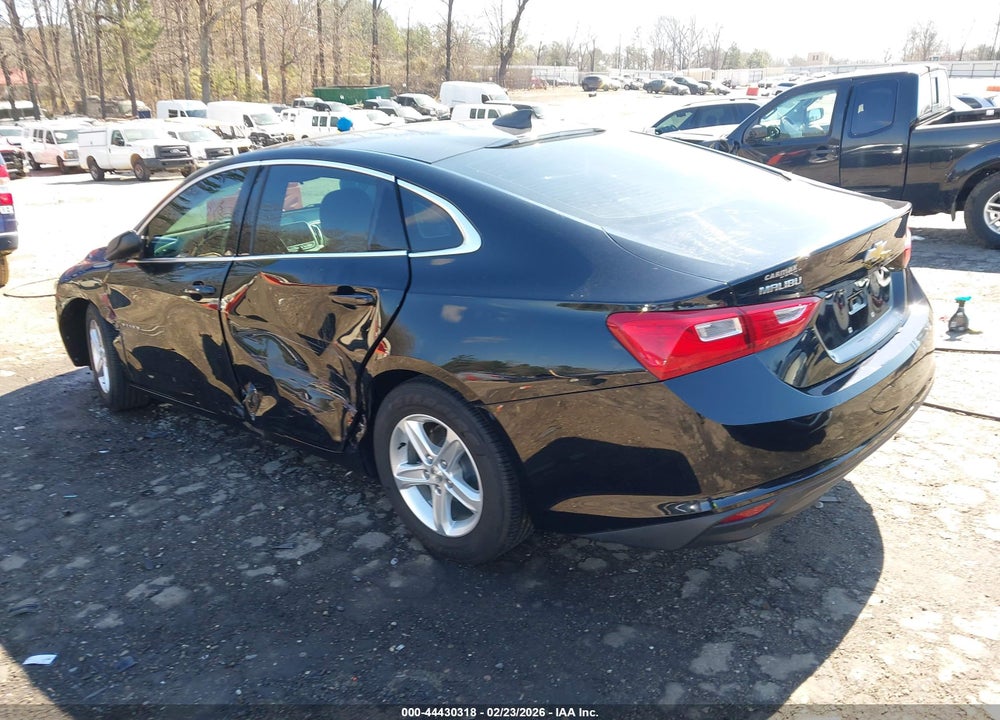2019 CHEVROLET MALIBU 1FL VIN: 1G1ZC5ST3KF207803