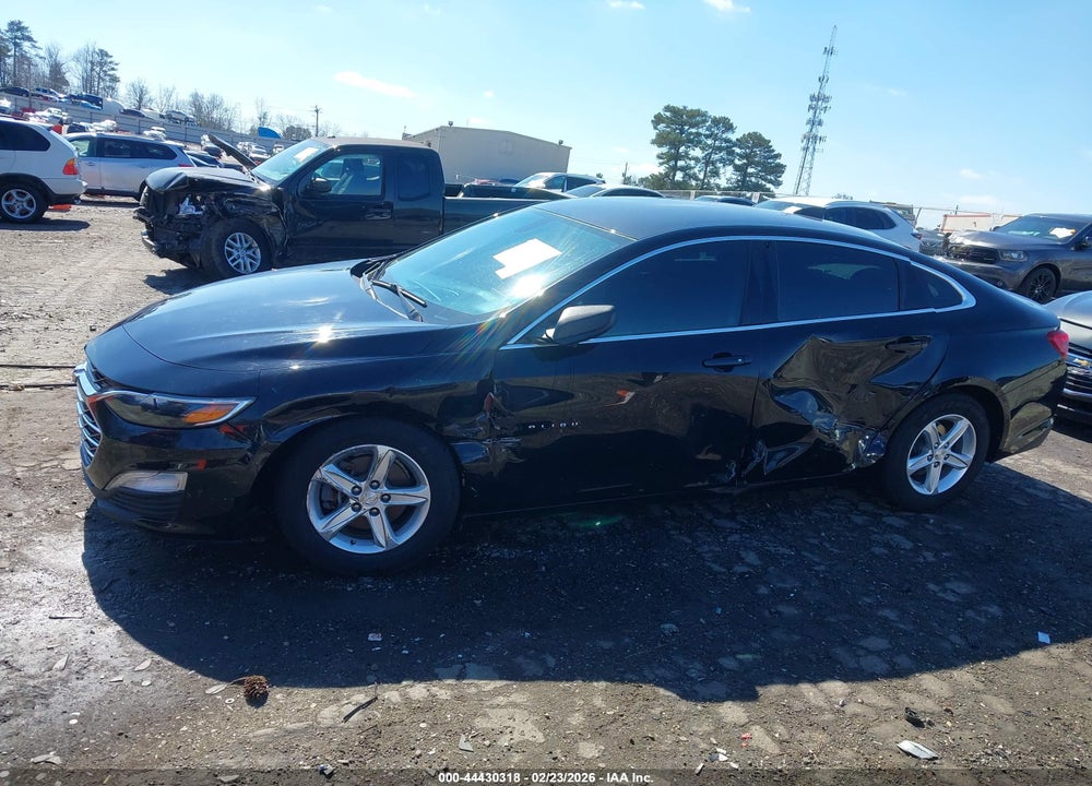 2019 CHEVROLET MALIBU 1FL VIN: 1G1ZC5ST3KF207803