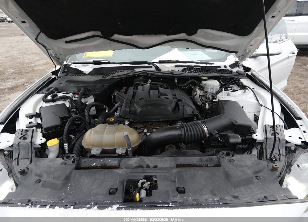 2019 FORD MUSTANG ECOBOOST VIN: 1FA6P8TH2K5105592