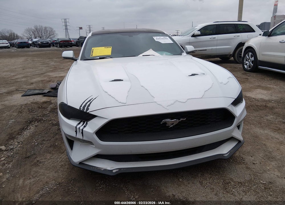 2019 FORD MUSTANG ECOBOOST VIN: 1FA6P8TH2K5105592