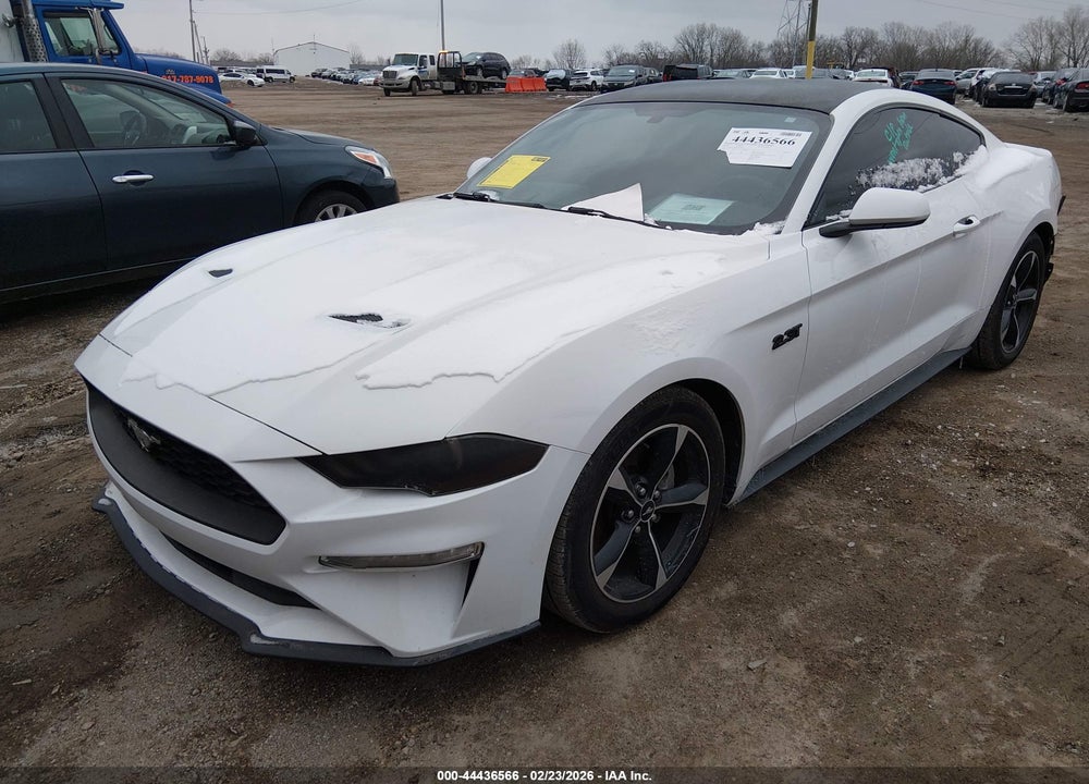 2019 FORD MUSTANG ECOBOOST VIN: 1FA6P8TH2K5105592