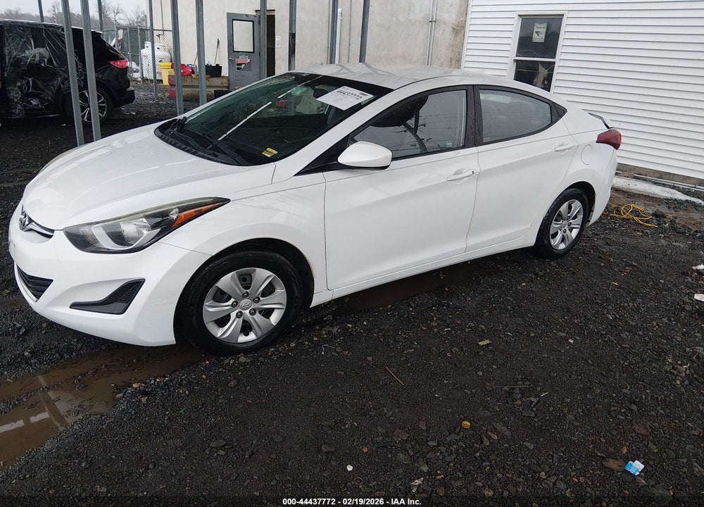 2016 HYUNDAI ELANTRA SE VIN: 5NPDH4AE9GH732491