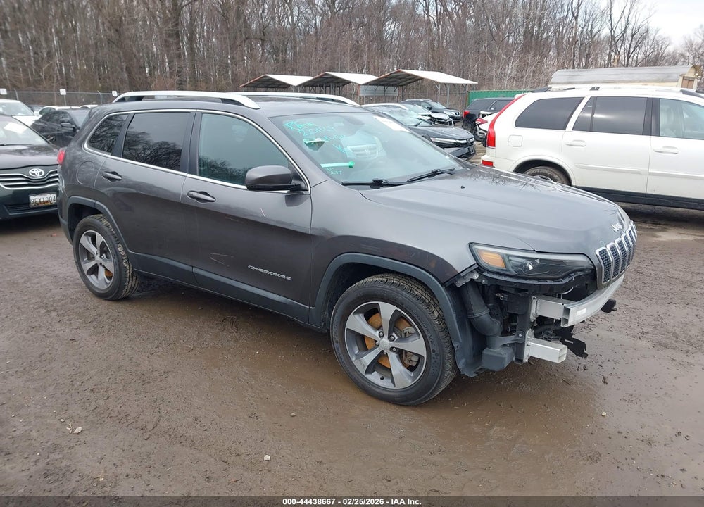 2019 JEEP CHEROKEE LIMITED 4X4 VIN: 1C4PJMDN1KD236418