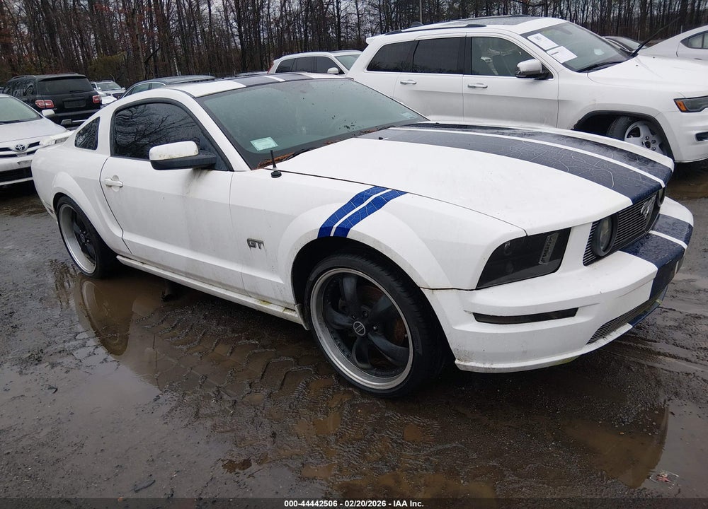 2006 FORD MUSTANG GT VIN: 1ZVFT82H665165434