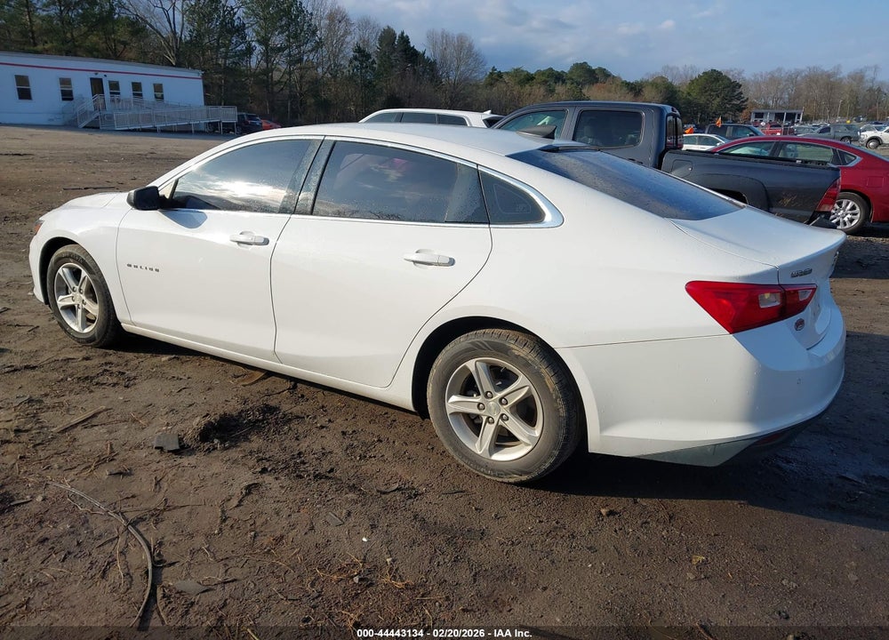 2019 CHEVROLET MALIBU 1FL VIN: 1G1ZC5ST4KF193815