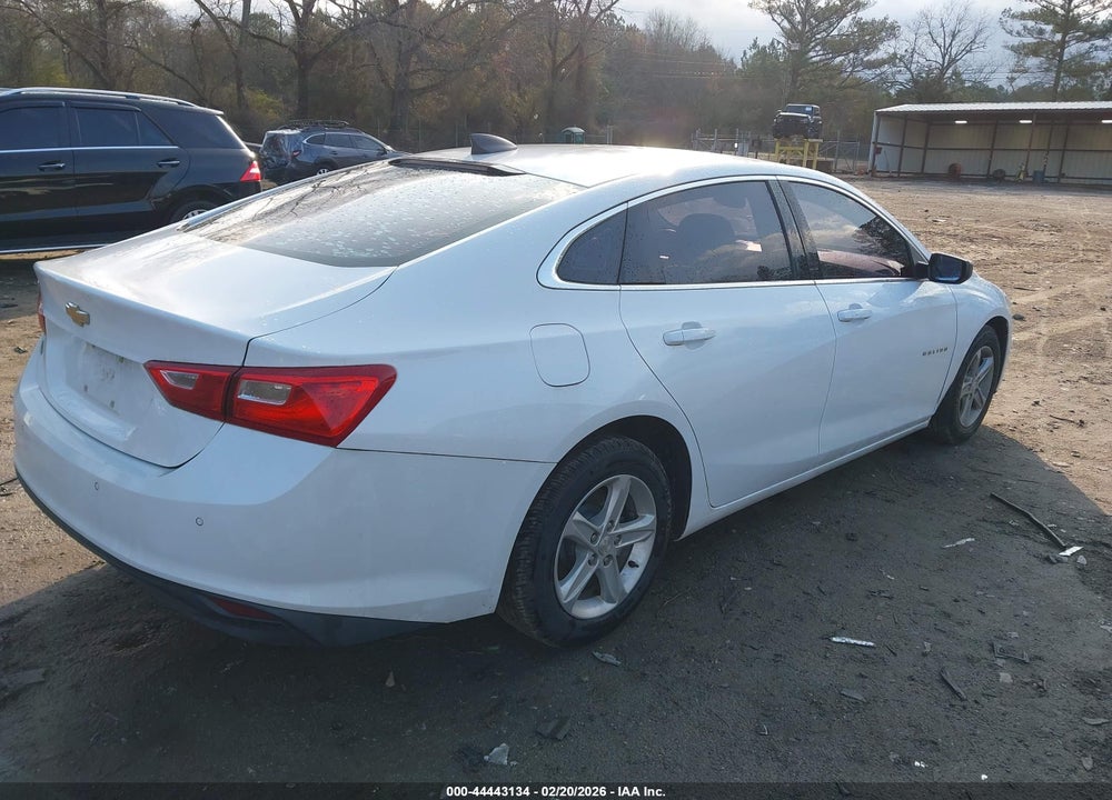 2019 CHEVROLET MALIBU 1FL VIN: 1G1ZC5ST4KF193815