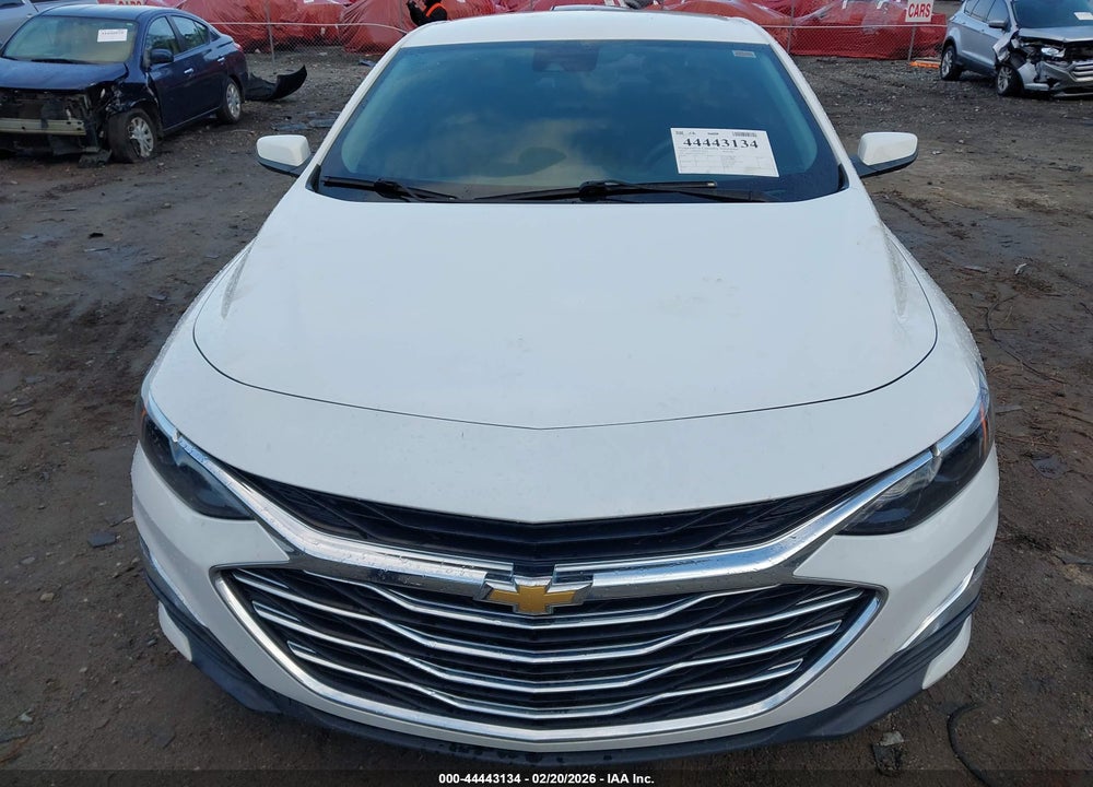2019 CHEVROLET MALIBU 1FL VIN: 1G1ZC5ST4KF193815