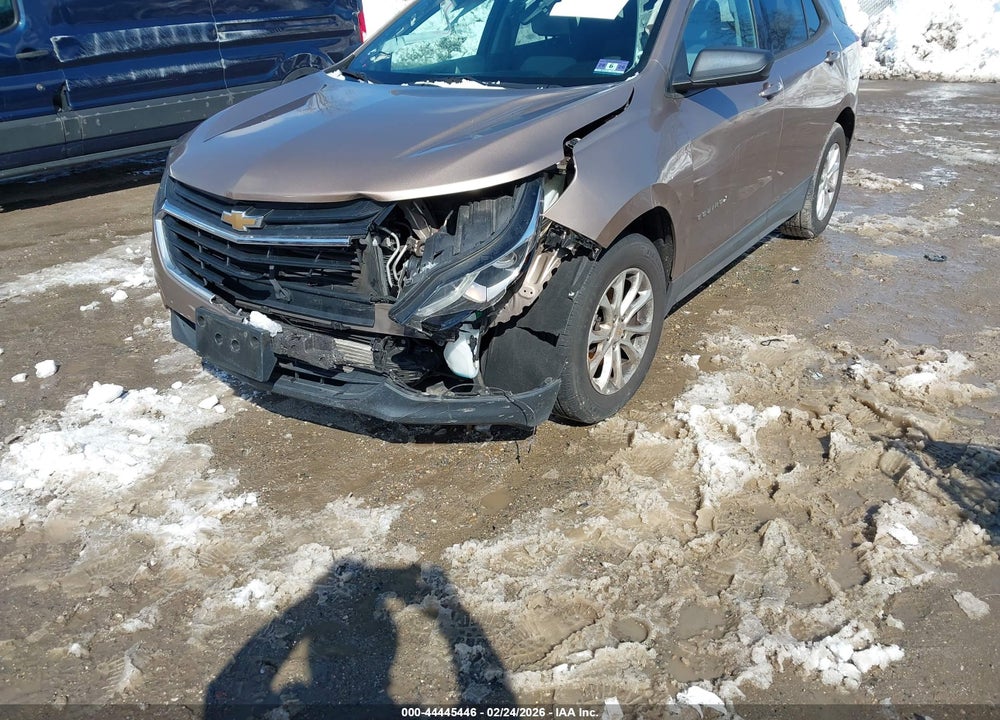 2019 CHEVROLET EQUINOX LS VIN: 2GNAXHEV7K6273098