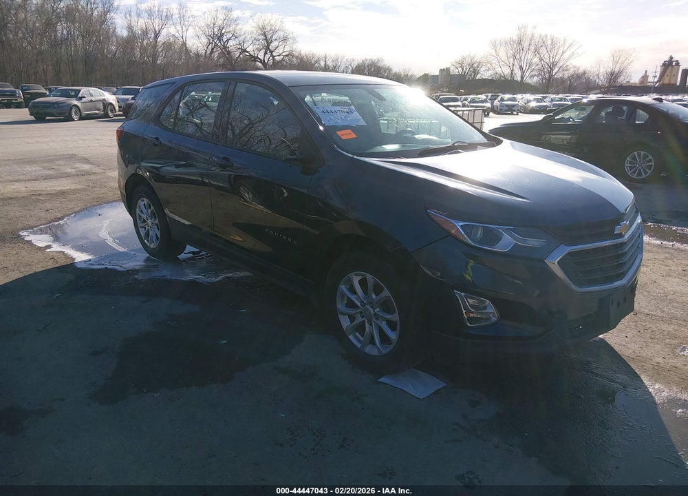 2019 CHEVROLET EQUINOX LS VIN: 3GNAXHEV0KL309886