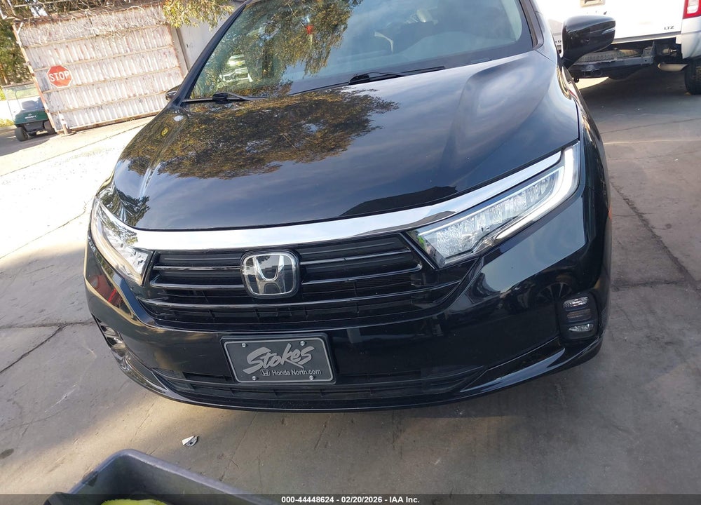 2023 HONDA ODYSSEY EX-L VIN: 5FNRL6H6XPB053374