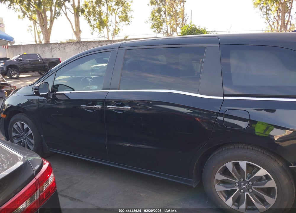 2023 HONDA ODYSSEY EX-L VIN: 5FNRL6H6XPB053374