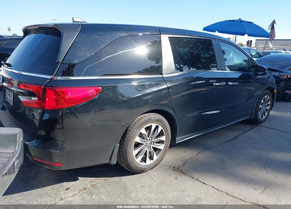 2023 HONDA ODYSSEY EX-L VIN: 5FNRL6H6XPB053374