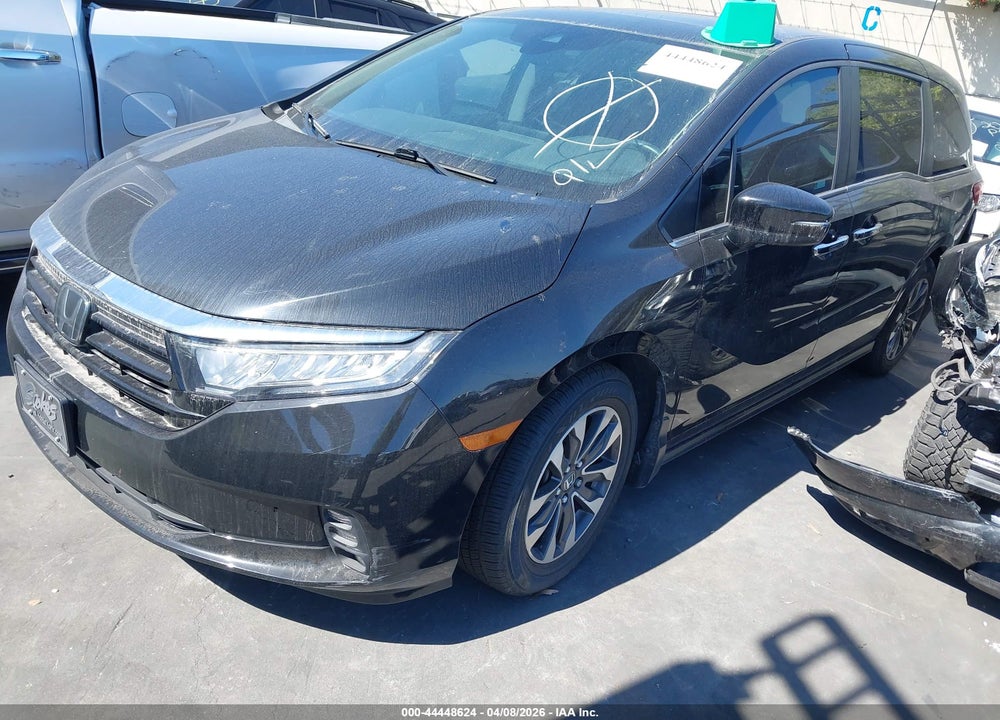 2023 HONDA ODYSSEY EX-L VIN: 5FNRL6H6XPB053374