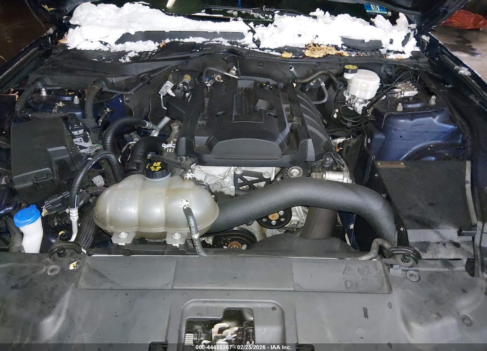 2020 FORD MUSTANG ECOBOOST FASTBACK VIN: 1FA6P8TH6L5172603