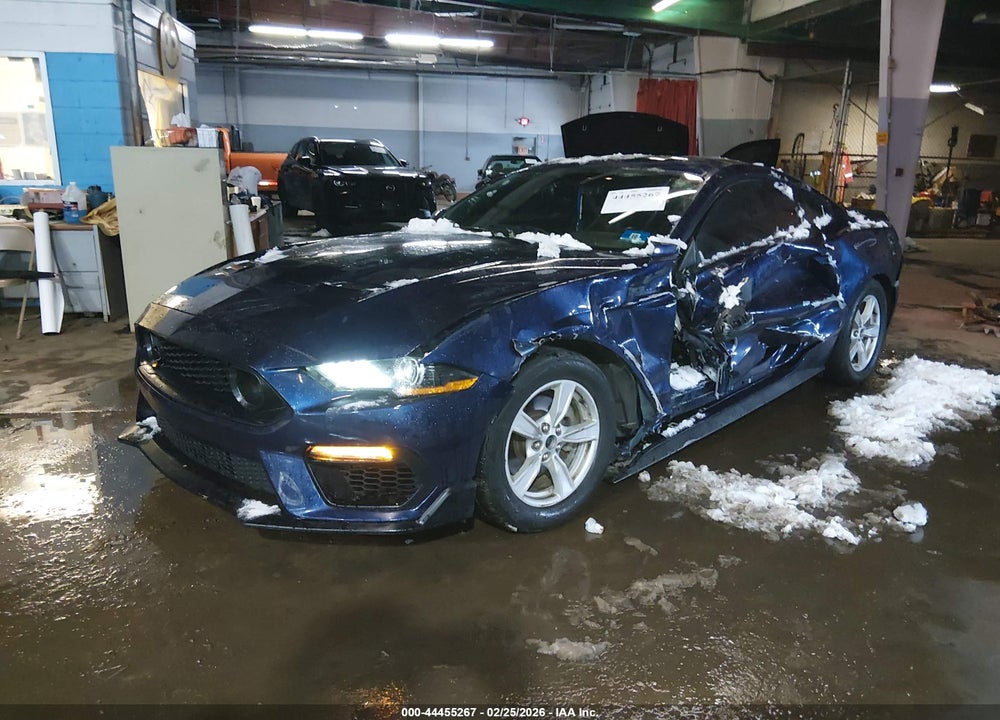 2020 FORD MUSTANG ECOBOOST FASTBACK VIN: 1FA6P8TH6L5172603