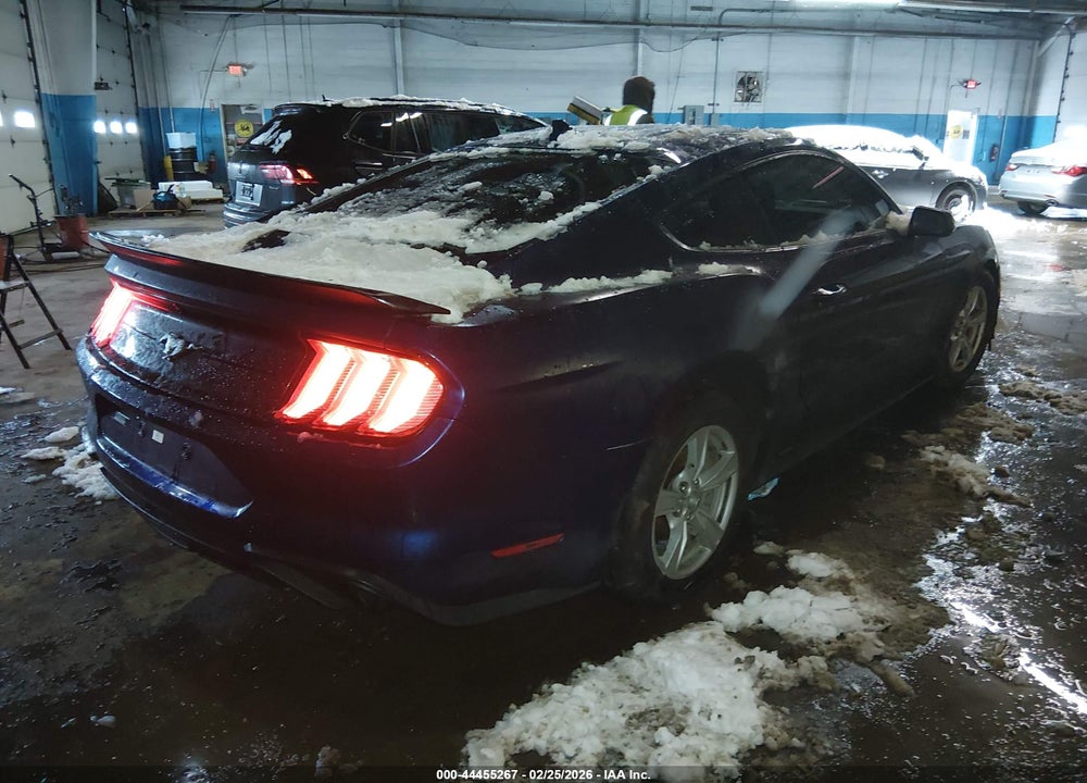 2020 FORD MUSTANG ECOBOOST FASTBACK VIN: 1FA6P8TH6L5172603