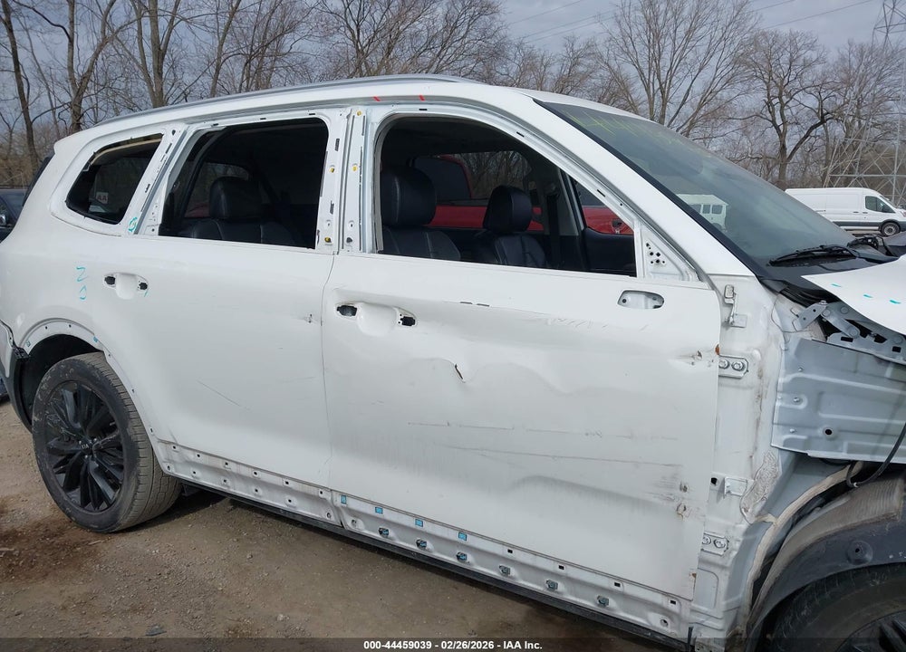 2020 KIA TELLURIDE VIN: 5XYP5DHC4LG093870