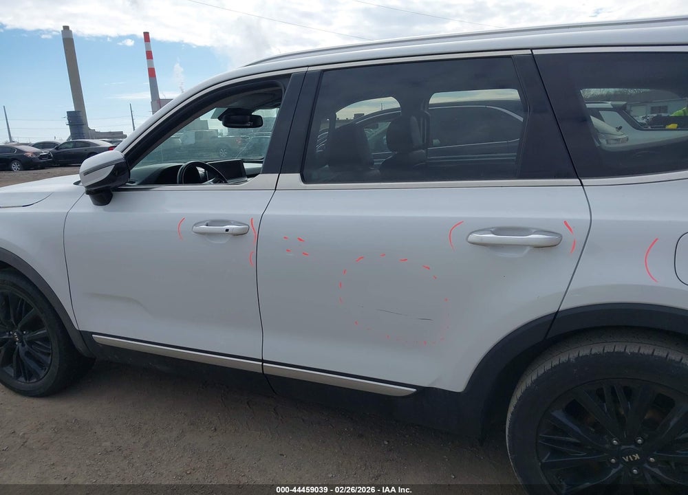 2020 KIA TELLURIDE VIN: 5XYP5DHC4LG093870