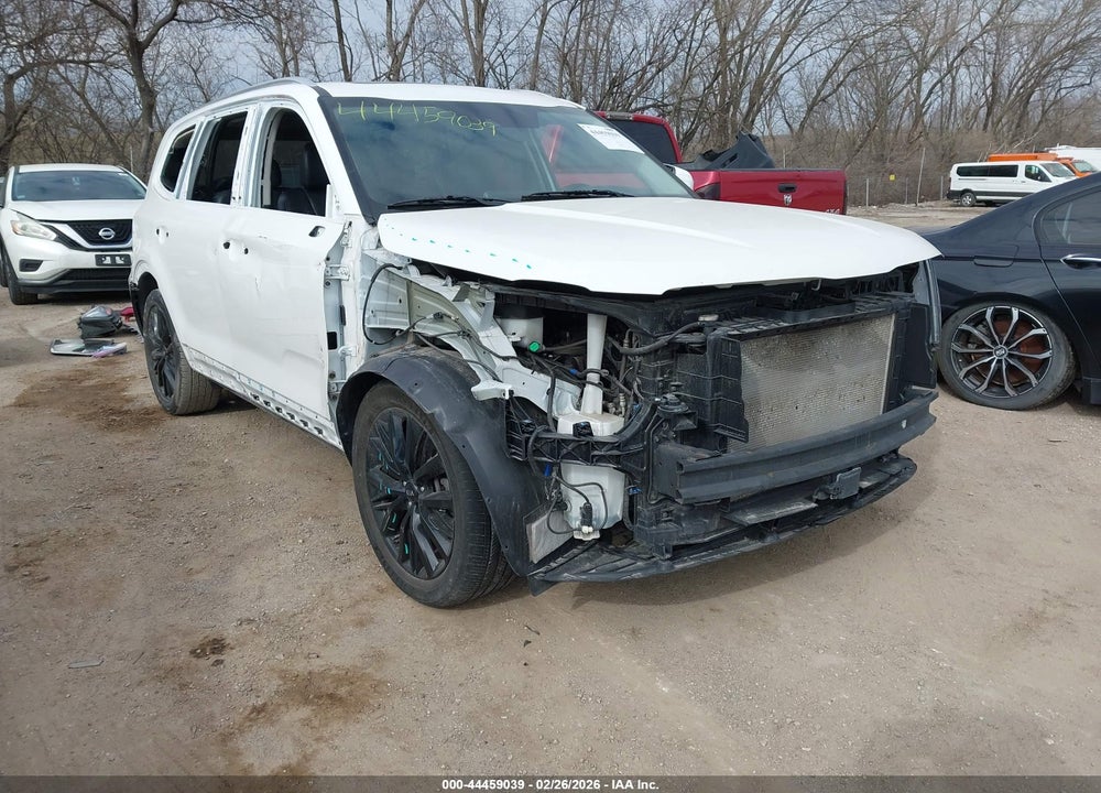 2020 KIA TELLURIDE VIN: 5XYP5DHC4LG093870