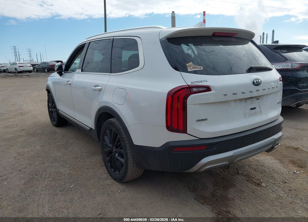 2020 KIA TELLURIDE VIN: 5XYP5DHC4LG093870