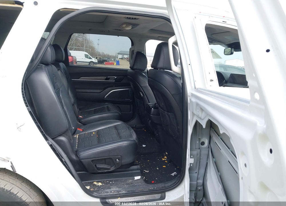 2020 KIA TELLURIDE VIN: 5XYP5DHC4LG093870